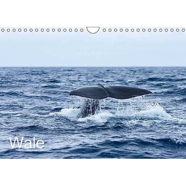 Wale (Wandkalender 2017 DIN A4 quer), Helmut Gulbins