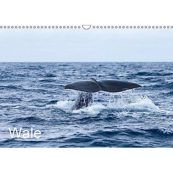 Wale (Wandkalender 2019 DIN A3 quer), Helmut Gulbins