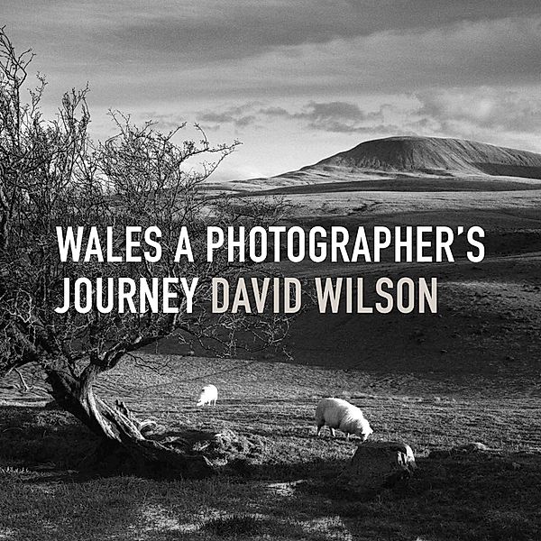 Wales, David Wilson