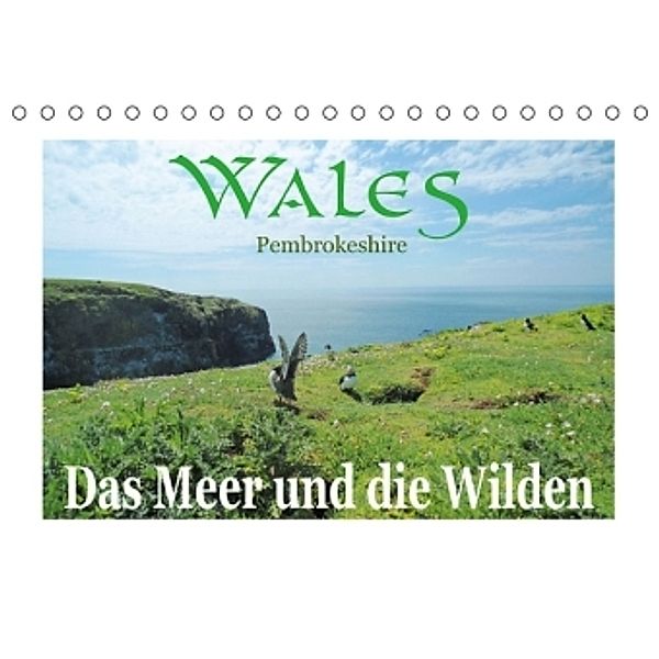 Wales Pembrokeshire. Das Meer und die Wilden (Tischkalender 2016 DIN A5 quer), Ruth Uhl