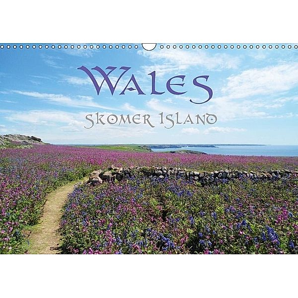 WALES Skomer Island (Wandkalender 2017 DIN A3 quer), Ruth Uhl