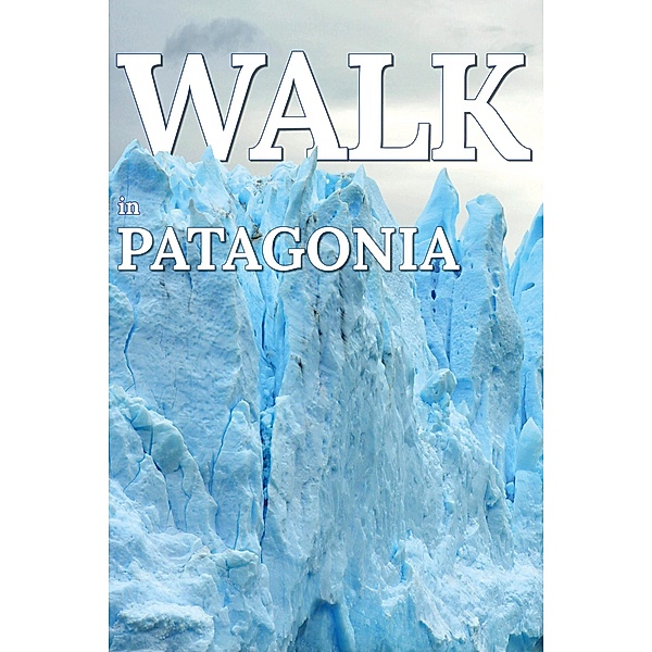 Walk in Patagonia (Walk. Travel Magazine, #5) / Walk. Travel Magazine, Mwt Publishing