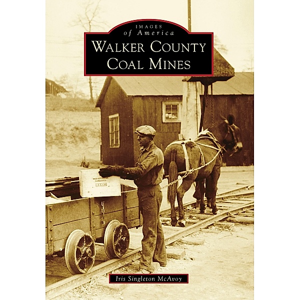 Walker County Coal Mines, Iris Singleton McAvoy