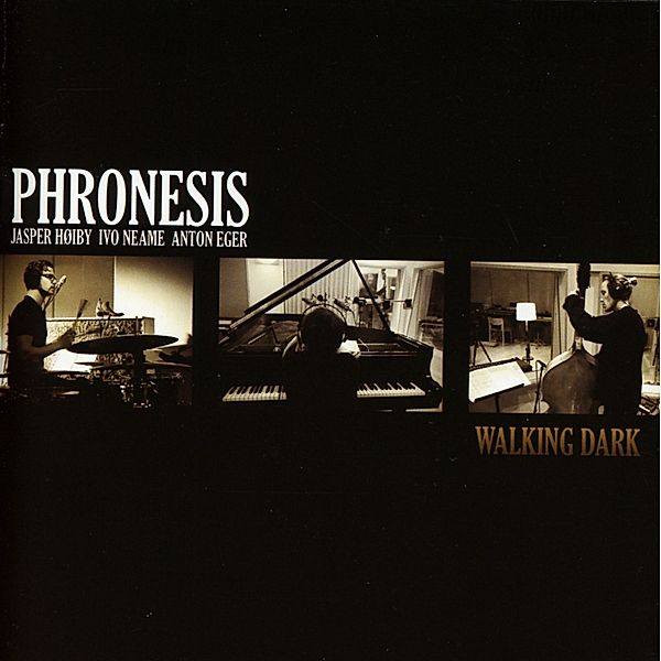 Walking Dark, Phronesis