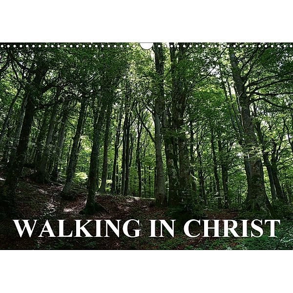 Walking in Christ (Wall Calendar 2021 DIN A3 Landscape), Anke van Wyk - www.germanpix.net
