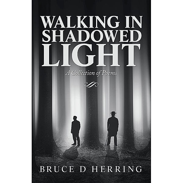 Walking in Shadowed Light, Bruce D Herring