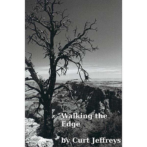 Walking the Edge / Curt Jeffreys, Curt Jeffreys