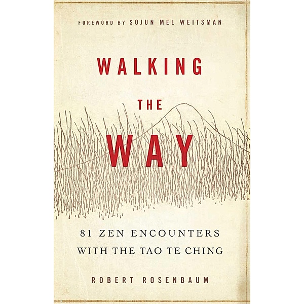 Walking the Way, Robert Rosenbaum