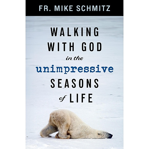 Walking with God in the Unimpressive Seasons of Life, Fr. Mike Schmitz