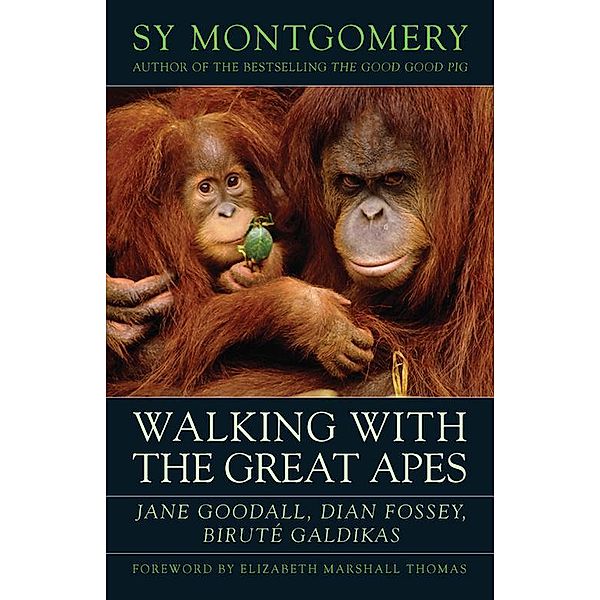 Walking with the Great Apes, Sy Montgomery