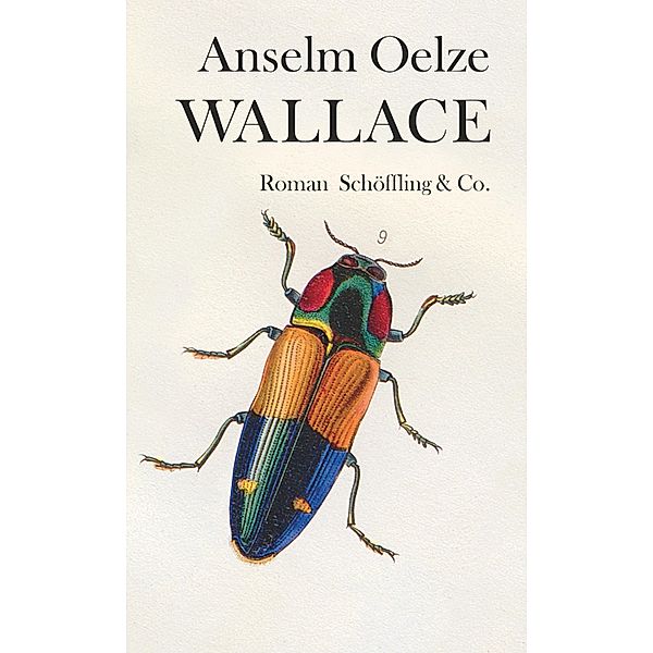 Wallace, Anselm Oelze