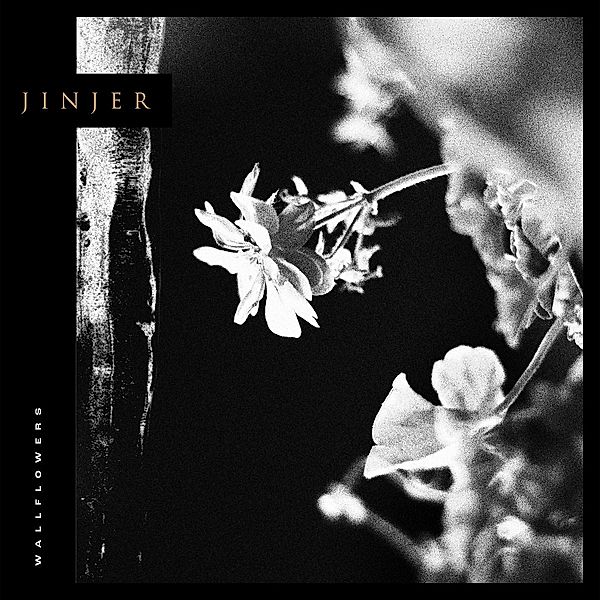 Wallflowers (Vinyl), Jinjer