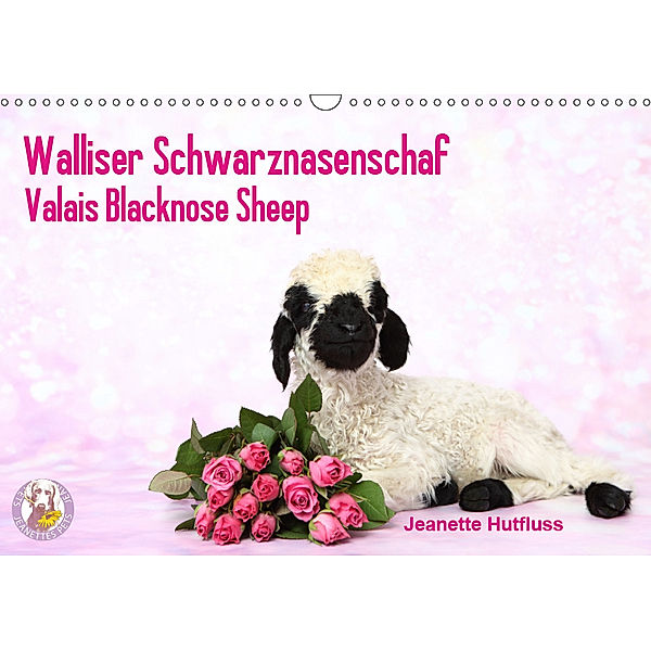 Walliser Schwarznasenschaf Valais Blacknose Sheep (Wandkalender 2019 DIN A3 quer), Jeanette Hutfluss