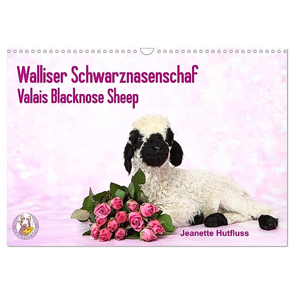 Walliser Schwarznasenschaf Valais Blacknose Sheep (Wandkalender 2024 DIN A3 quer), CALVENDO Monatskalender, Jeanette Hutfluss