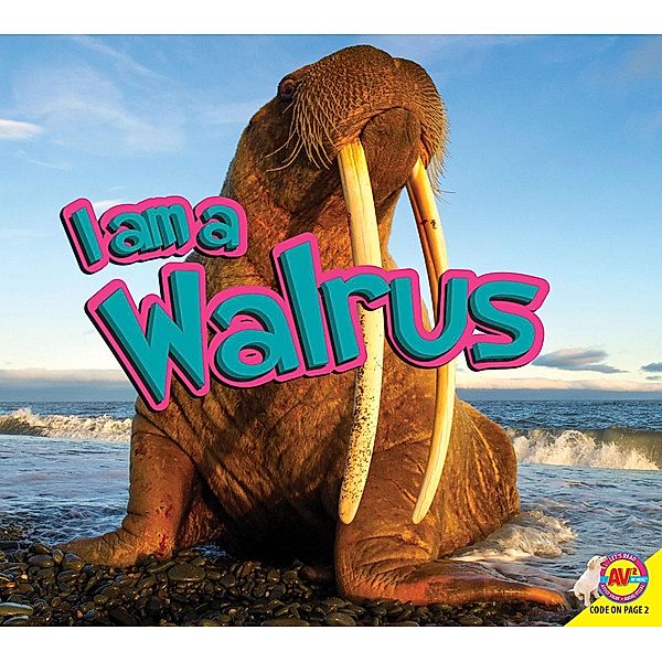 Walrus, Samantha Nugent