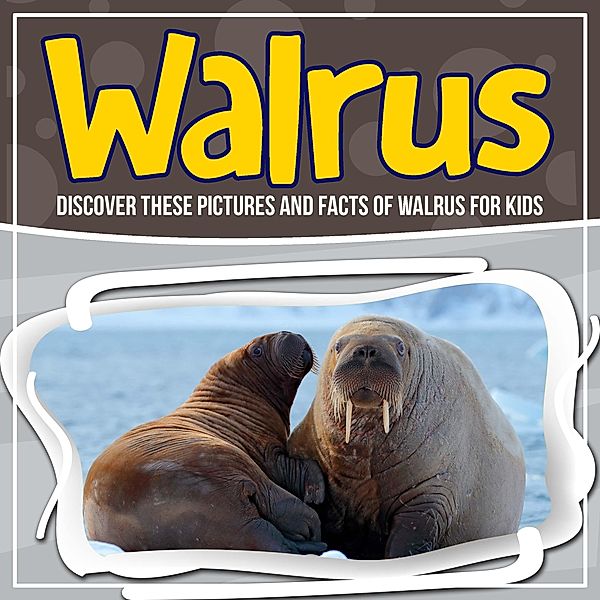 Walrus: Discover These Pictures And Facts Of Walrus For Kids / Bold Kids, Bold Kids