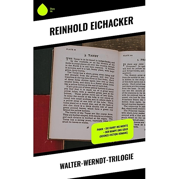 Walter-Werndt-Trilogie, Reinhold Eichacker