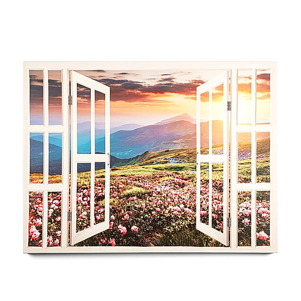 Wandbild Fensterblick Blumenwiese 80x60 cm