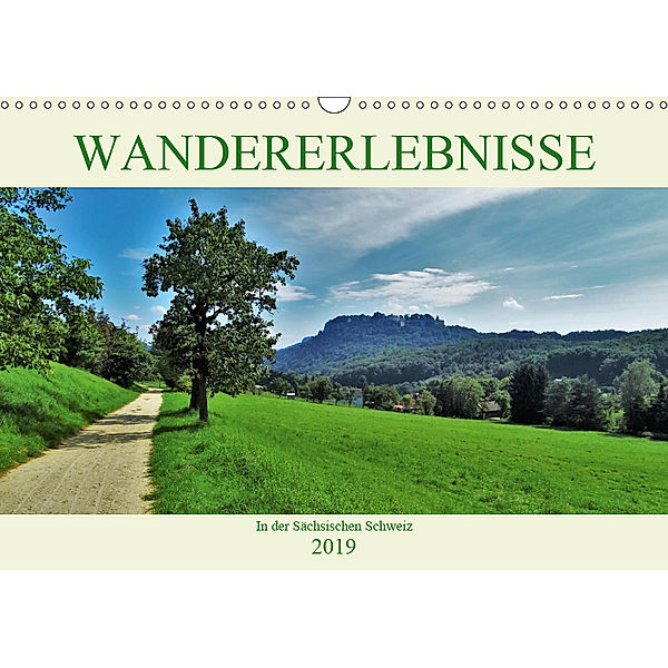 Wandererlebnisse in der Sächsischen Schweiz (Wandkalender 2019 DIN A3 quer), Andrea Janke