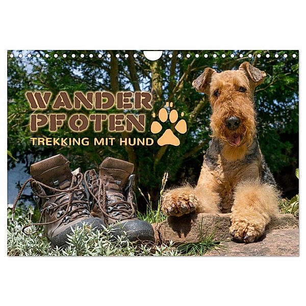 Wanderpfoten. Trekking mit Hund (Wandkalender 2024 DIN A4 quer), CALVENDO Monatskalender, Antje Becker