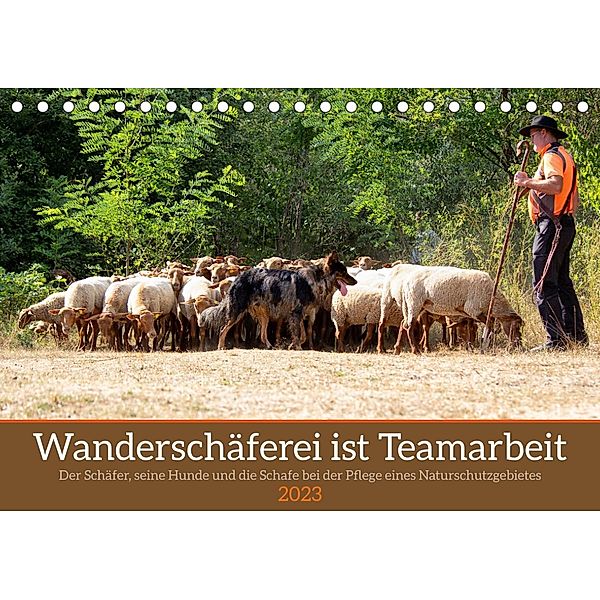 Wanderschäferei ist Teamarbeit (Tischkalender 2023 DIN A5 quer), Marion Sixt