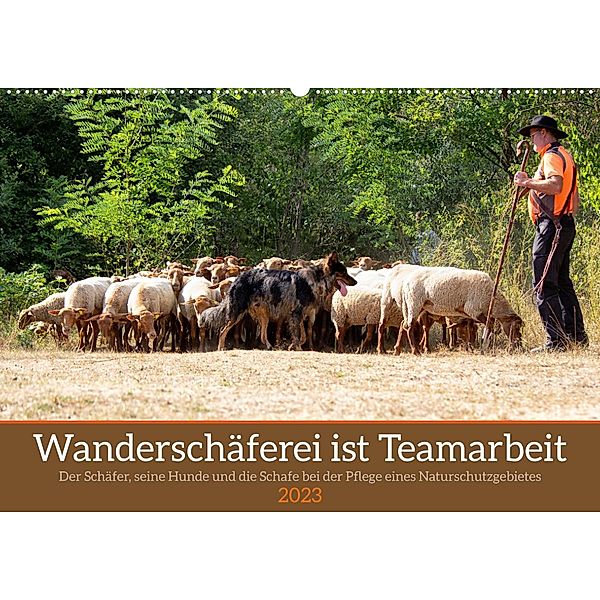 Wanderschäferei ist Teamarbeit (Wandkalender 2023 DIN A2 quer), Marion Sixt