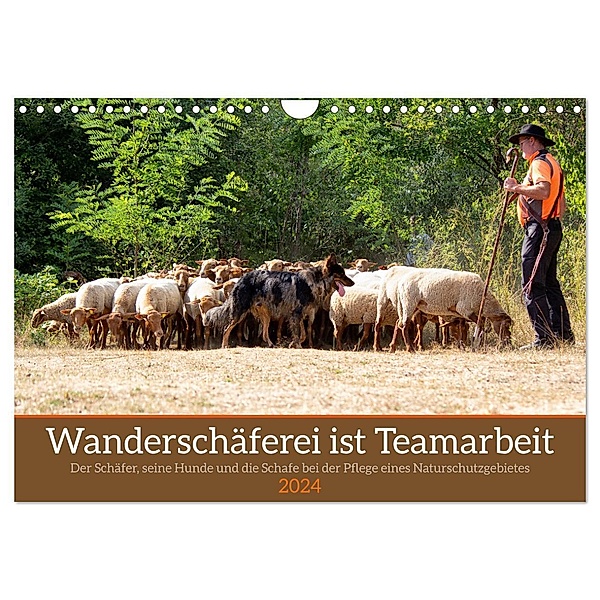 Wanderschäferei ist Teamarbeit (Wandkalender 2024 DIN A4 quer), CALVENDO Monatskalender, Marion Sixt