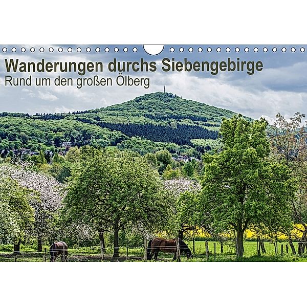 Wanderwege durchs Siebengebirge - Rund um den großen Ölberg (Wandkalender 2018 DIN A4 quer) Dieser erfolgreiche Kalender, Thomas Leonhardy