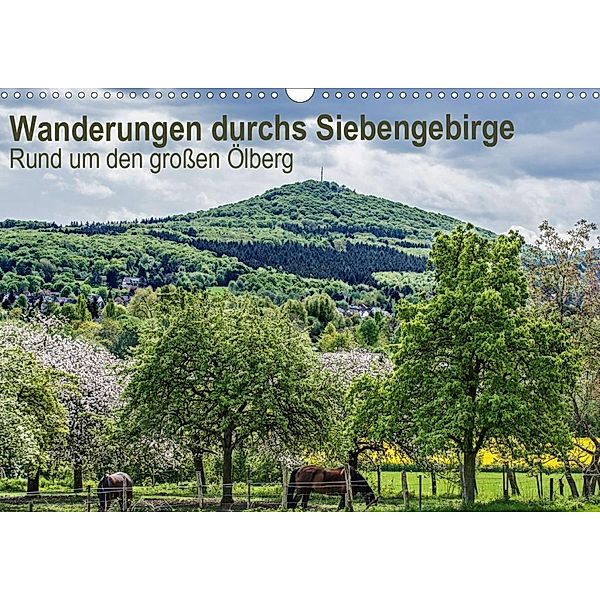 Wanderwege durchs Siebengebirge - Rund um den großen Ölberg (Wandkalender 2020 DIN A3 quer), Thomas Leonhardy