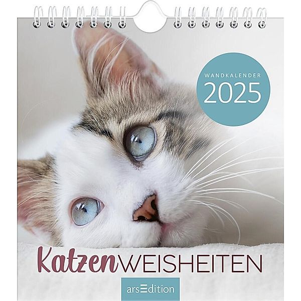 Wandkalender Katzenweisheiten 2025