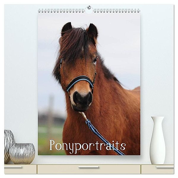 Wandkalender Ponyportraits (hochwertiger Premium Wandkalender 2024 DIN A2 hoch), Kunstdruck in Hochglanz, Gabriele Lügger