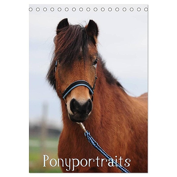Wandkalender Ponyportraits (Tischkalender 2024 DIN A5 hoch), CALVENDO Monatskalender, Gabriele Lügger