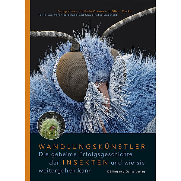 Wandlungskünstler. Die geheime Erfolgsgeschichte der Insekten und wie sie weitergehen kann, Veronika Straass, Claus-Peter Lieckfeld