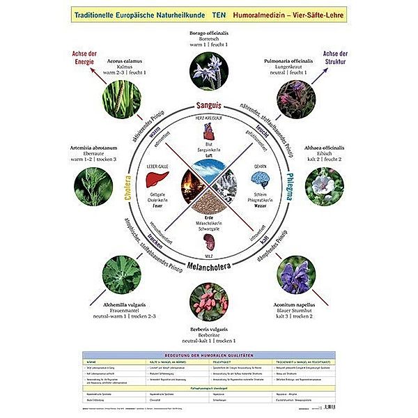 Wandtafel Traditionelle Europäische Naturheilkunde TEN, Friedemann Garvelmann, Christian Raimann, Erika Wirth