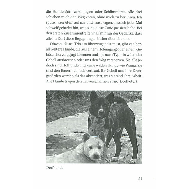 Wanja und die wilden Hunde Buch versandkostenfrei bei Weltbild.de