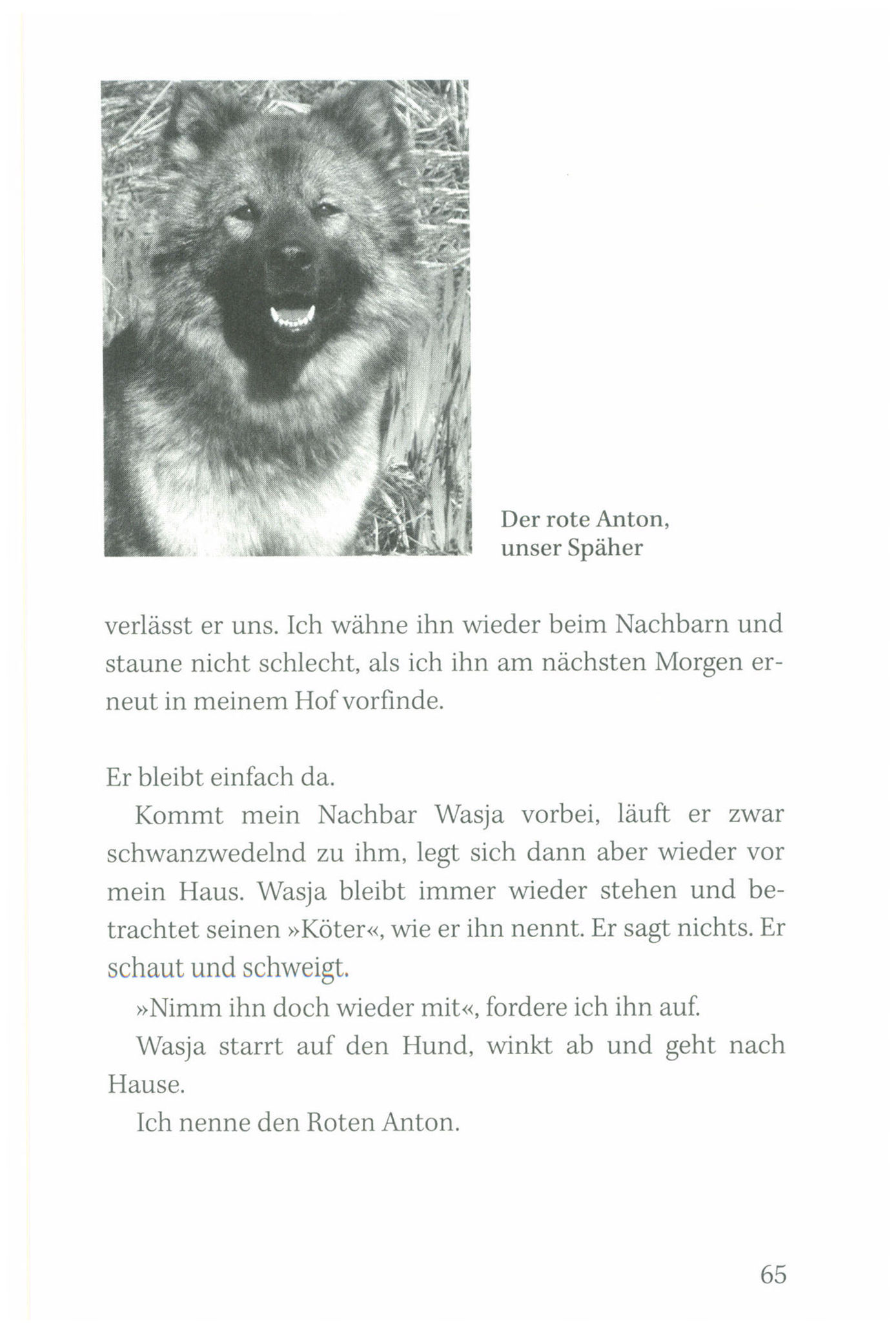 Wanja und die wilden Hunde Buch versandkostenfrei bei Weltbild.de