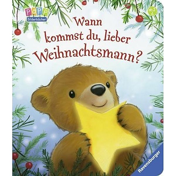 Wann kommst du, lieber Weihnachtsmann?, Steve Metzger, Alison Edgson