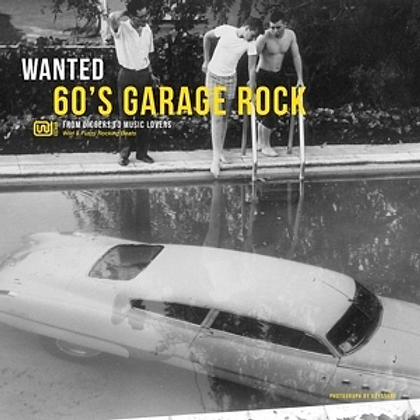 Wanted 60'S Garage Rock (Vinyl), Diverse Interpreten