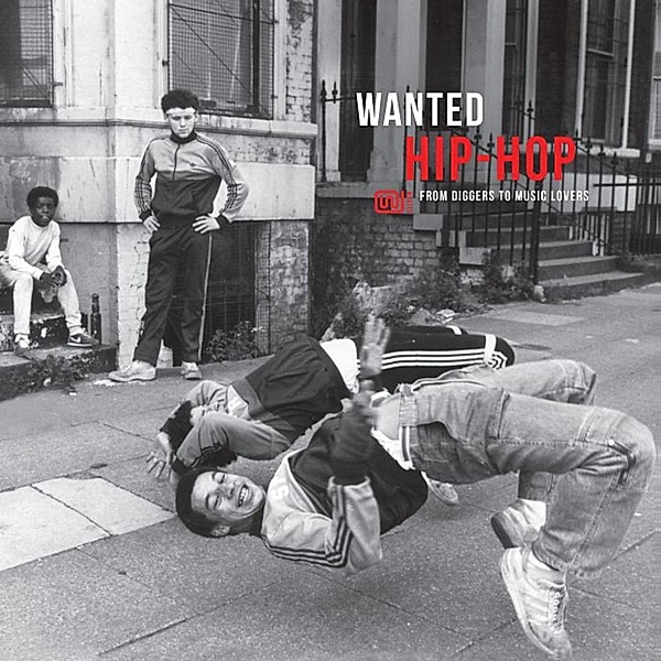 Wanted Hip-Hop (New Version) (Vinyl), Diverse Interpreten