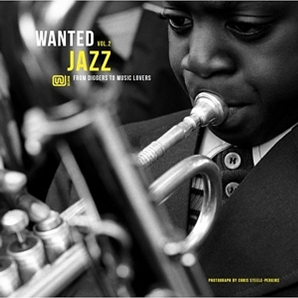 Wanted Jazz 02 (Vinyl), Diverse Interpreten