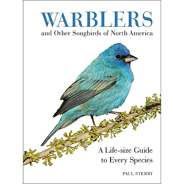 Warblers and Other Songbirds of North America, Paul Sterry