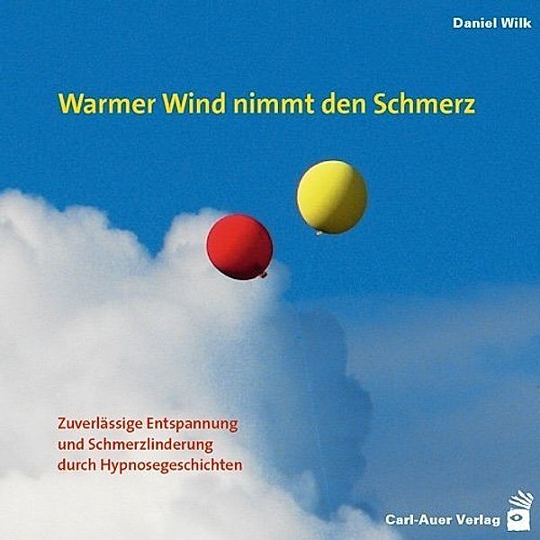 Warmer Wind nimmt den Schmerz,1 Audio-CD, Daniel Wilk