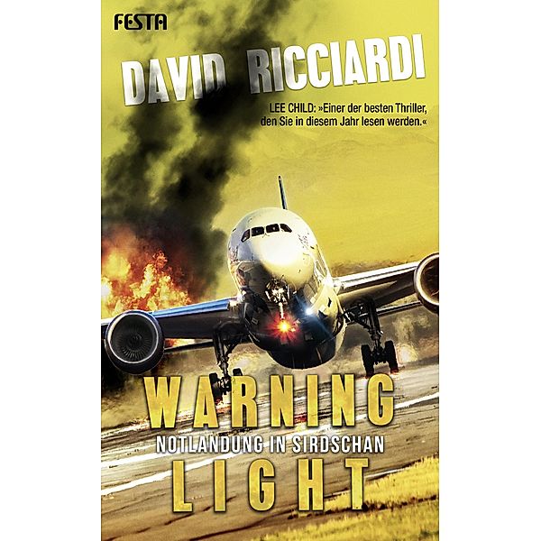 Warning Light - Notlandung in Sirdschan, David Ricciardi