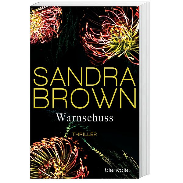 Warnschuss, Sandra Brown