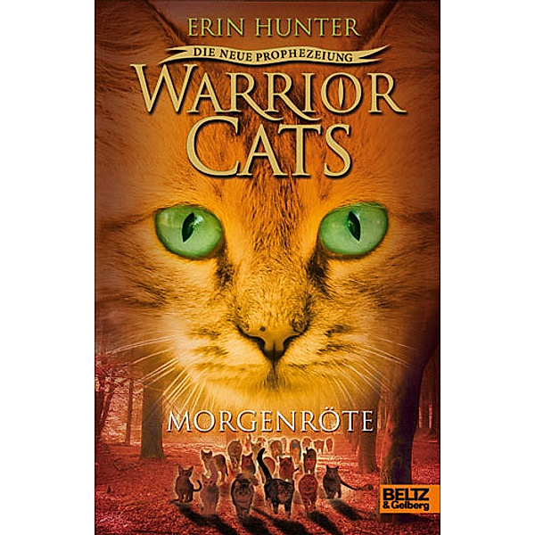 Warrior Cats Staffel 2 Band 3: Morgenröte, Erin Hunter