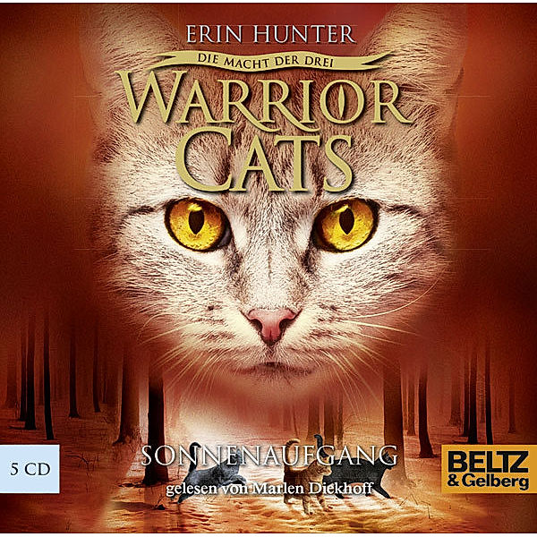 Warrior Cats Staffel 3 - 6 - Sonnenaufgang, Erin Hunter