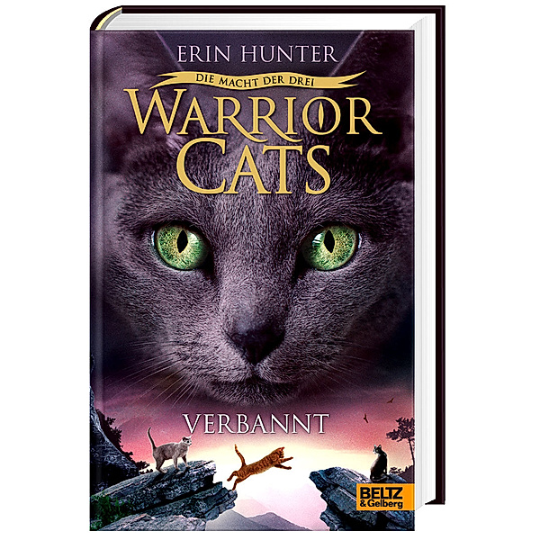 Warrior Cats Staffel 3 Band 3: Verbannt, Erin Hunter