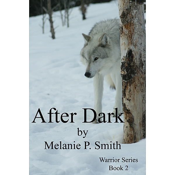 Warrior Series: After Dark: Warrior Series Book 2, Melanie P. Smith