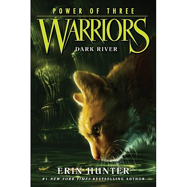 Warriors: Power of Three #2: Dark River / Warriors: Power of Three Bd.2, Erin Hunter