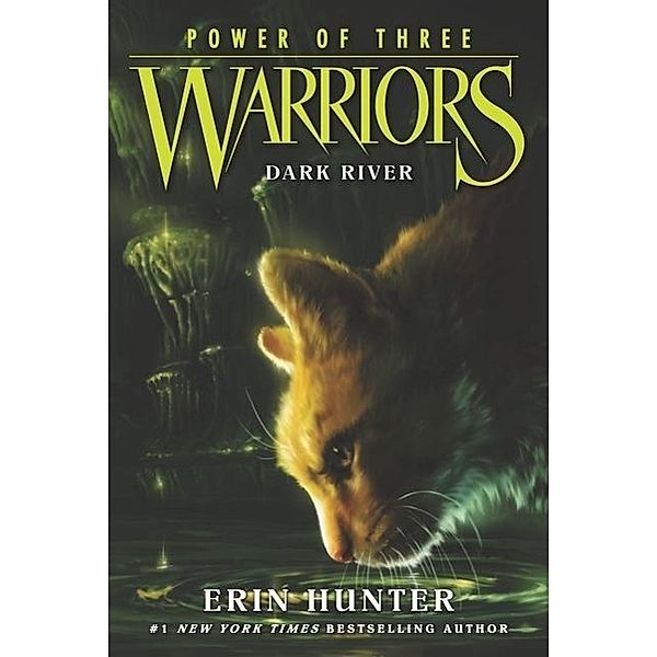 Warriors: Power of Three - Dark River, Erin Hunter